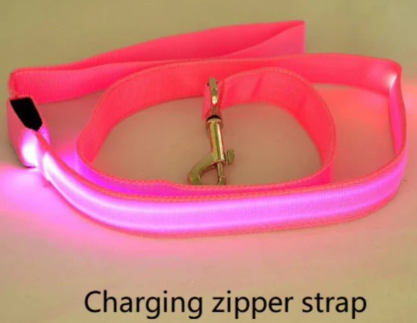 USB Rechargeable LED Dog Collar – High-Visibility Light-Up Collar for Nighttime Walks (Sizes XS–XL)