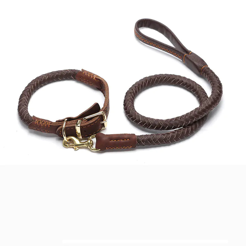 Leather Dog Leash with Optional Matching Collar – Durable Premium Leather for Medium to Large Dogs (Sizes S–XL)