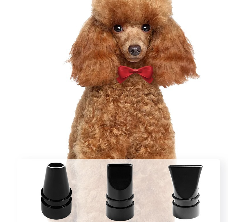 Pet Hair Dryer – High-Power 2800W Grooming Blower with 3 Nozzles and Adjustable Airflow (Fast-Drying, Low Noise, Professional Finish)