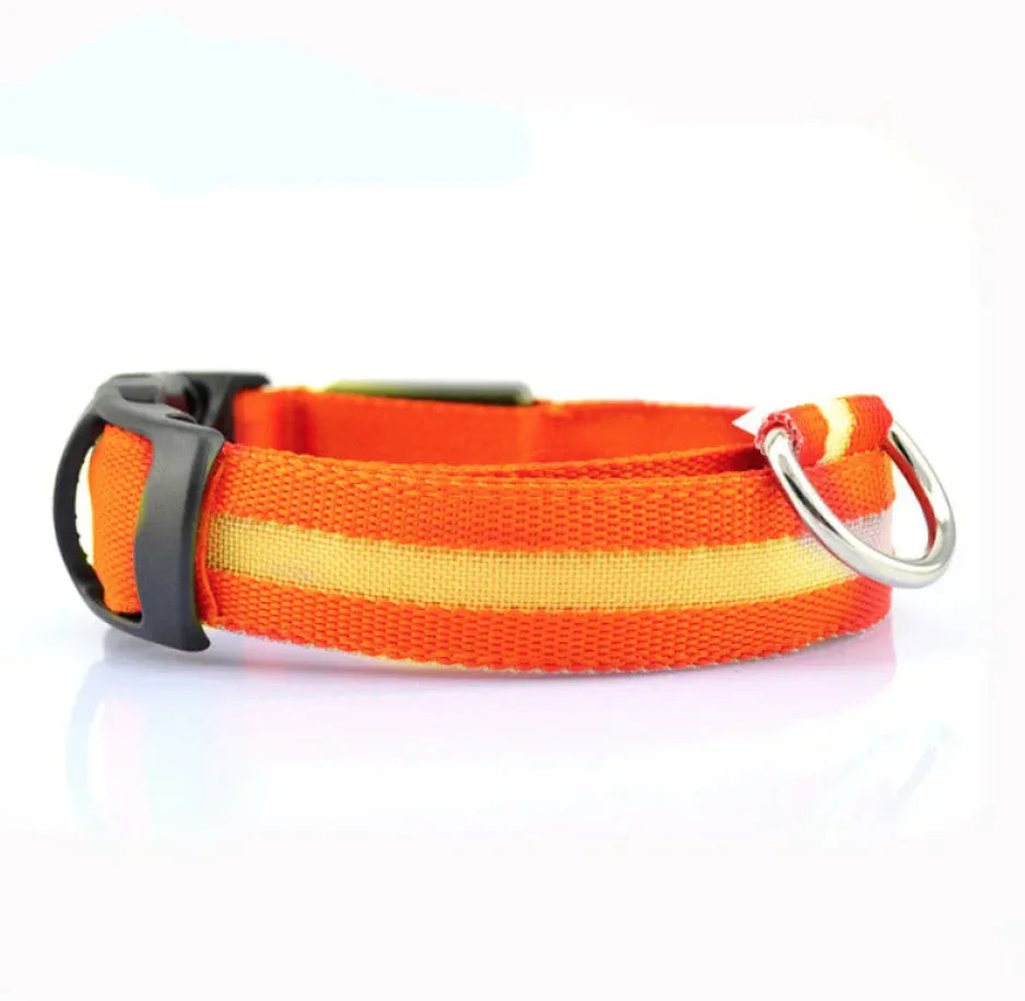 LED Safety Dog Collar – Rechargeable Light-Up Adjustable Collar for Night Walks (Multiple Flash Modes)