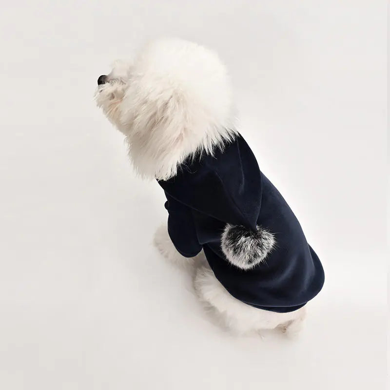 Cute Pet Ball Hoodie – Soft Golden Velvet Dog Sweater with Pom-Pom Hood (XS–XXL)