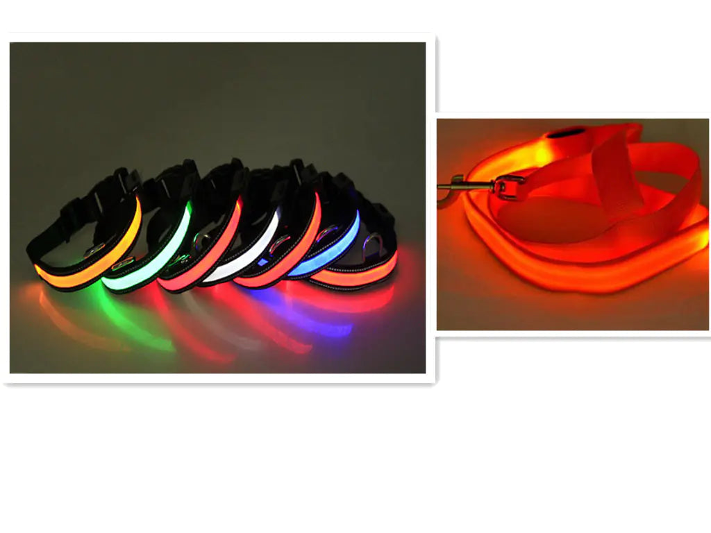 USB Rechargeable LED Dog Collar – High-Visibility Light-Up Collar for Nighttime Walks (Sizes XS–XL)