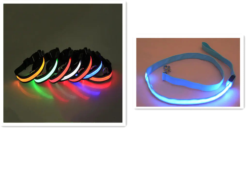 USB Rechargeable LED Dog Collar – High-Visibility Light-Up Collar for Nighttime Walks (Sizes XS–XL)