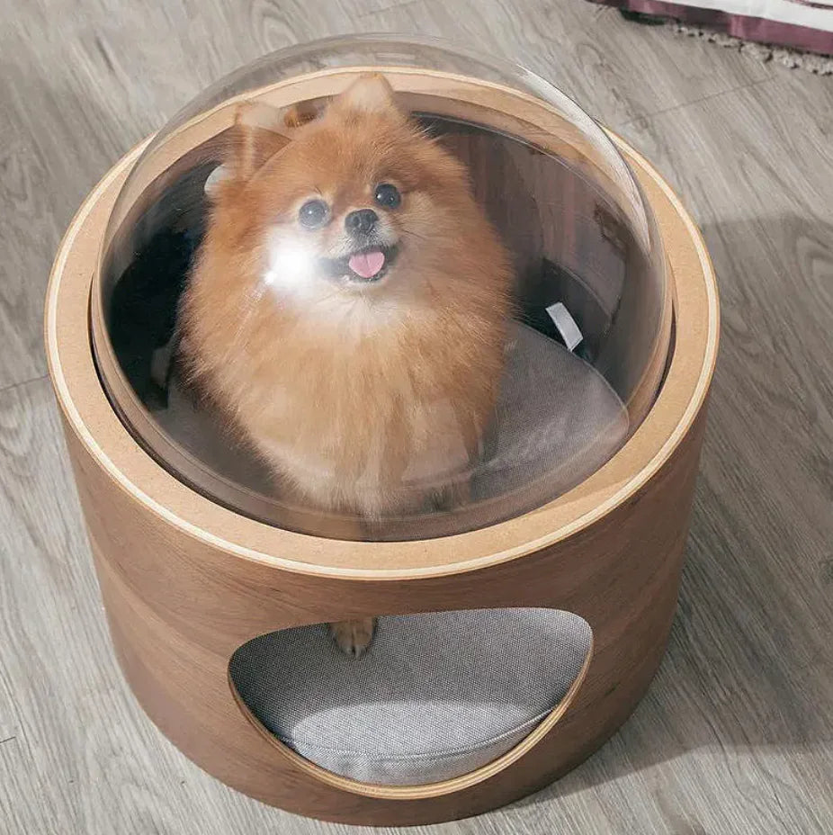 Clear Dome Pet Bed – Modern Transparent Cat Nest for Stylish Indoor Spaces