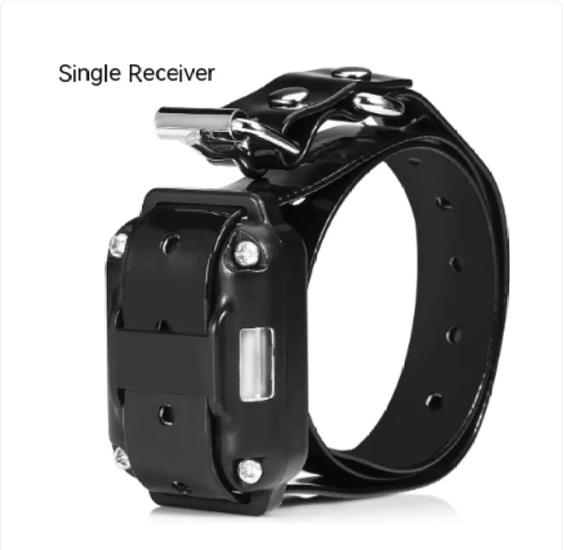 Remote Control Dog Training Collar – Multi-Dog Setup with Shock, Vibrate & Sound Modes (Various Colors)