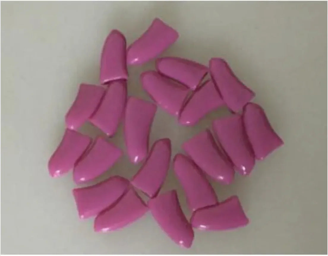 20-Piece Pet Nail Covers Set with Adhesive – Protective, Stylish & Comfortable for Cats and Dogs