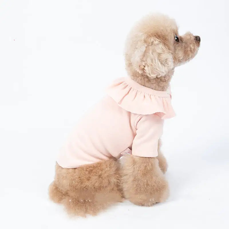 Cozy Acrylic Pet Clothing – Thickened Long-Sleeve Autumn & Winter Outfit for Small to Medium Pets (XXS to 3XL Sizes)