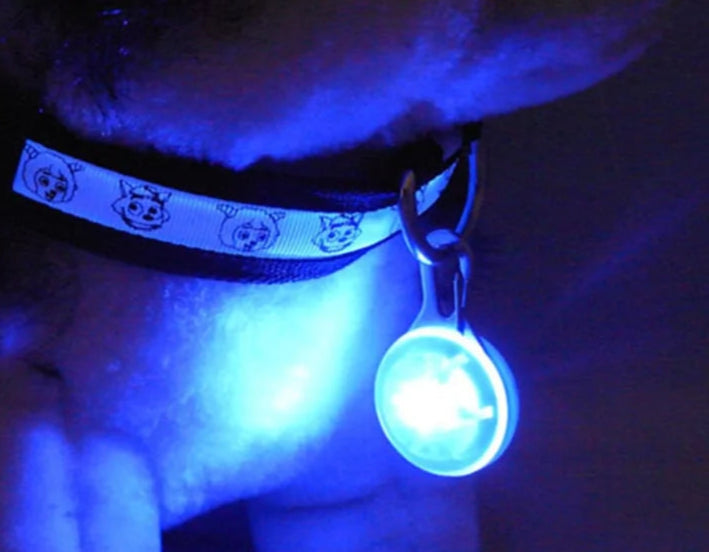LED Pet Collar Pendant – Lightweight, Glowing Safety Light for Nighttime Visibility