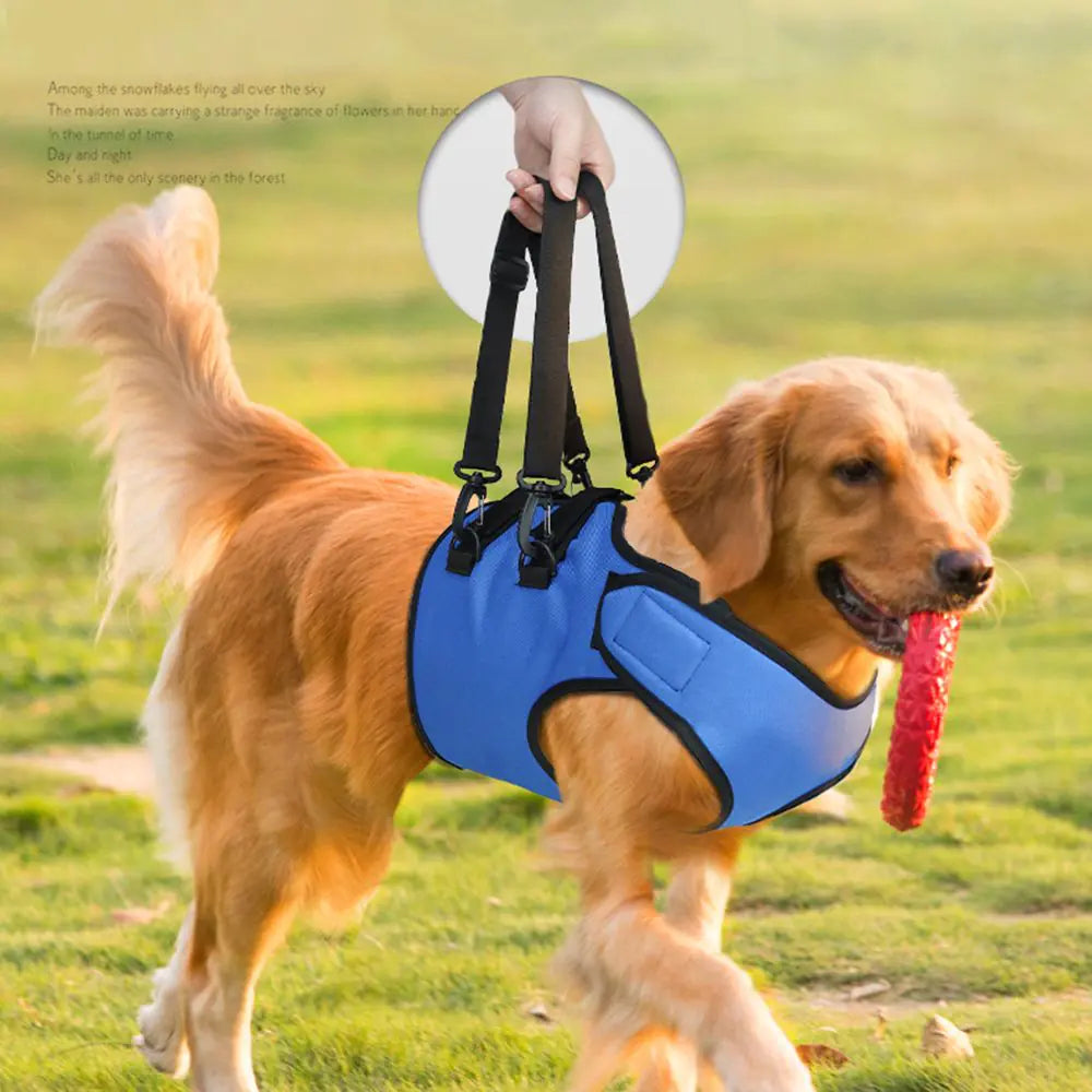 Dog Rehabilitation Support Vest – Adjustable Auxiliary Lifting Harness for Injured or Senior Dogs (S–L, Oxford Cloth)