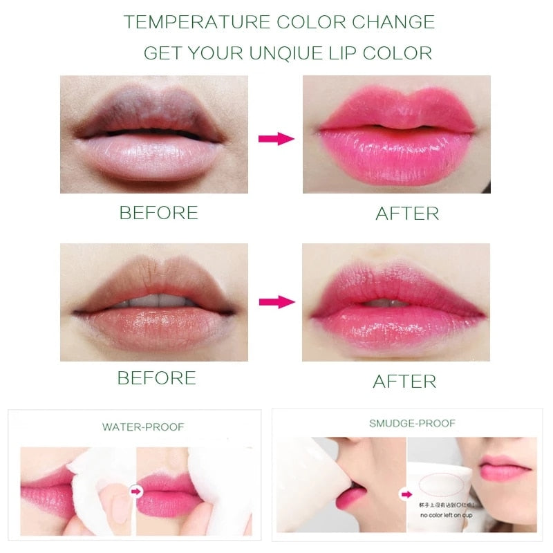 Aloe Vera Moisturizing Lip Balm – Long-Lasting, Waterproof