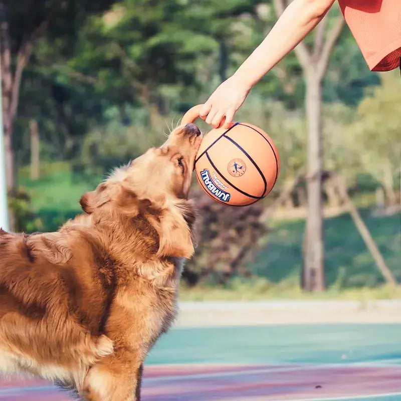 Dog Handle Ball Toy – Interactive Basketball & Football Style Rubber Toy for Medium to Large Dogs