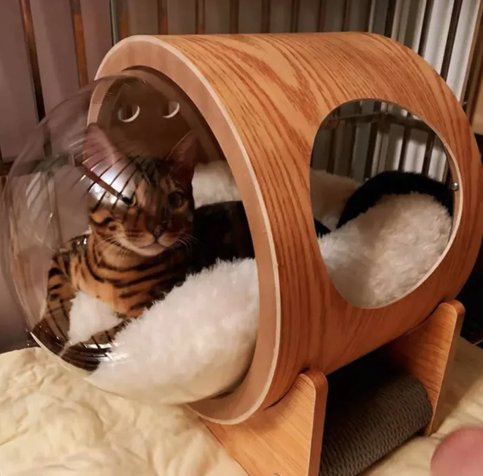 Clear Dome Pet Bed – Modern Transparent Cat Nest for Stylish Indoor Spaces