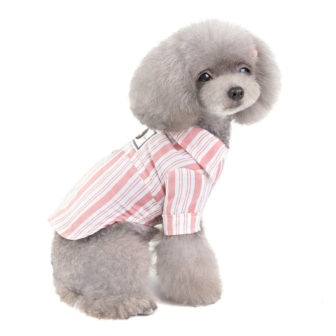 Dog Cat Clothes – Soft Cotton Leisure Shirts for Pets in Blue or Pink (S to 2XL Sizes)
