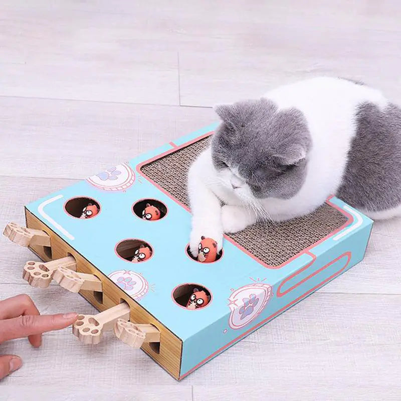 Interactive Cat Teaser Toy – Engaging Feather Wand for Play & Bonding (Durable & Safe Design)