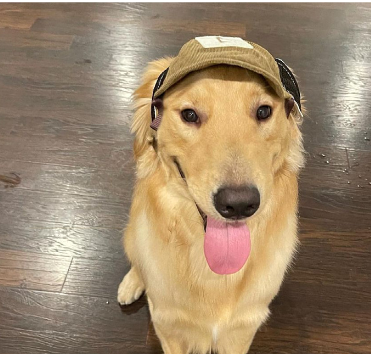 Pet Hat Sports Sunscreen Dog – Breathable Sun Hat with Adjustable Fit for Small to Large Dogs (S–L)
