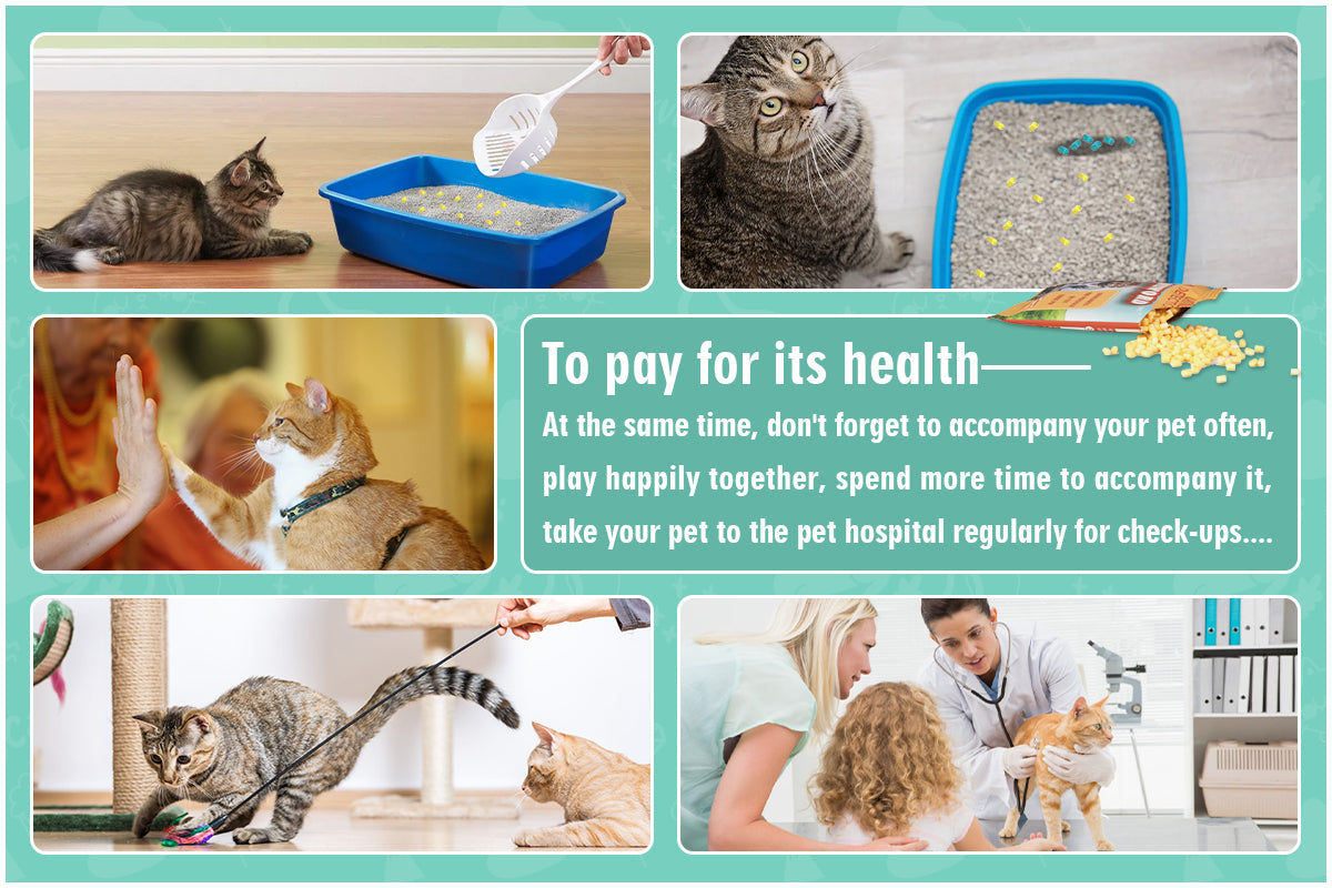 Cat Urine, Blood & pH Detector – 3-Second Self-Checking Granules