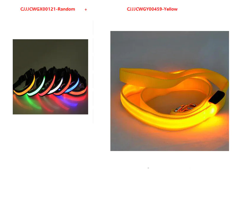USB Rechargeable LED Dog Collar – High-Visibility Light-Up Collar for Nighttime Walks (Sizes XS–XL)