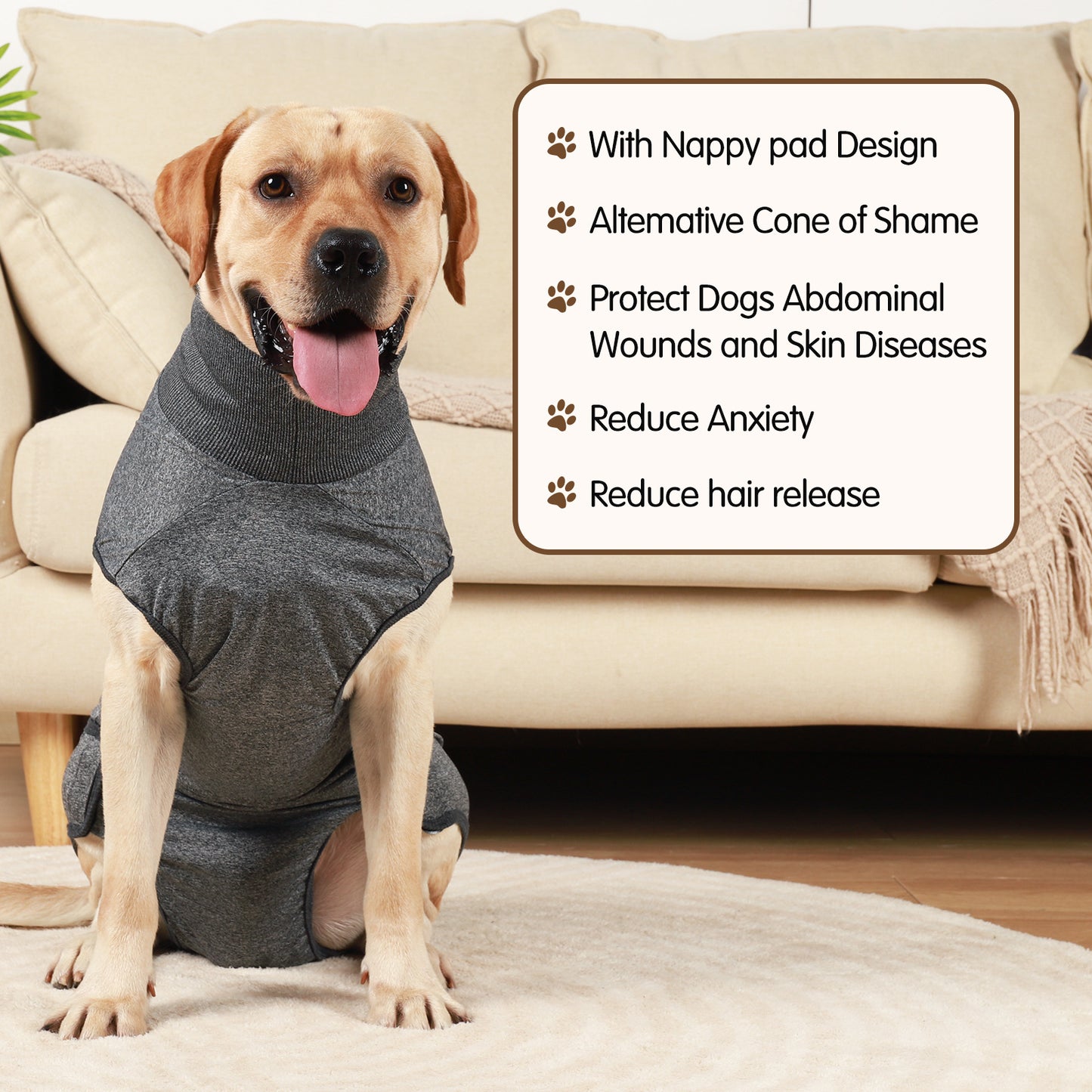 Dog Recovery Suit – Soft Post-Surgery Pet Clothing with Nappy Pad & Velcro Design (XXS–3XL, Grey & Wine Red)