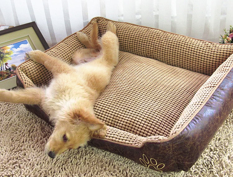 Dog Mat Pet Bed Cat Nest – Soft, Washable Nesting Bed for Pets of All Sizes