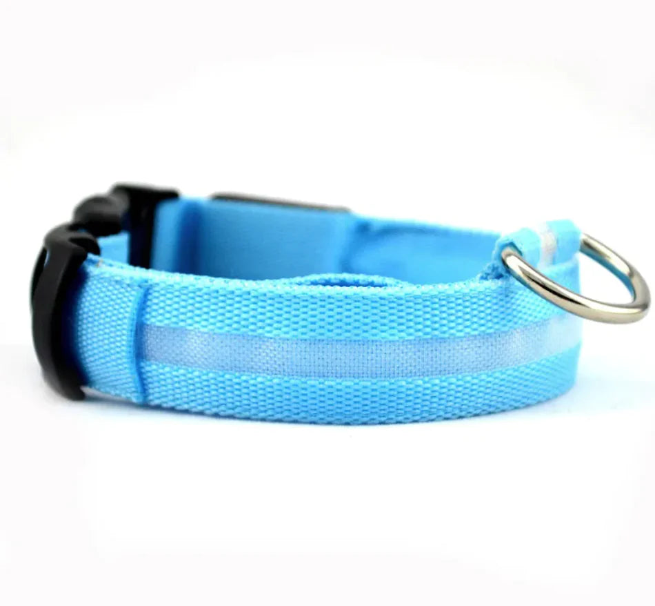 LED Safety Dog Collar – Rechargeable Light-Up Adjustable Collar for Night Walks (Multiple Flash Modes)