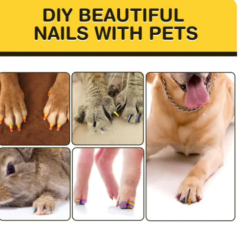 Dog Nail Polish Pen – 12 Vibrant Colors, Quick-Dry, Pet-Safe Formula