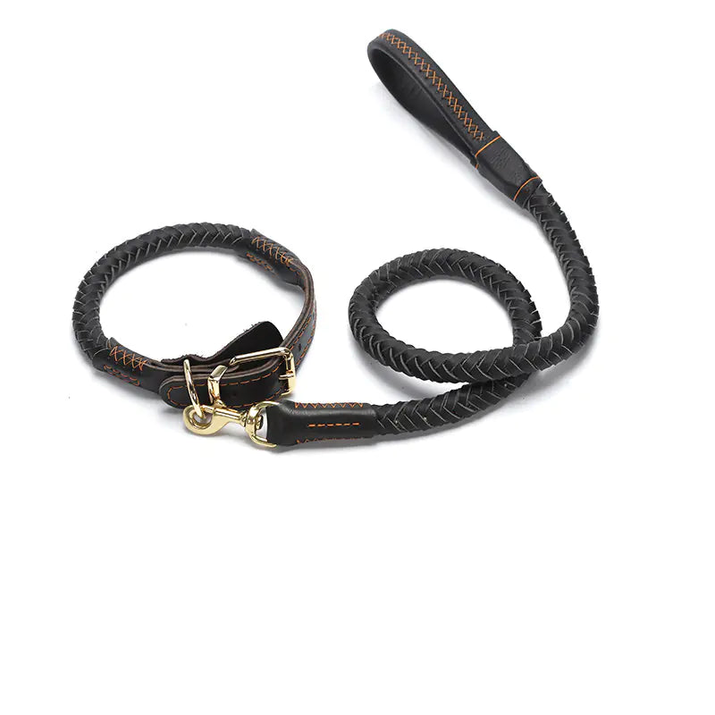 Leather Dog Leash with Optional Matching Collar – Durable Premium Leather for Medium to Large Dogs (Sizes S–XL)