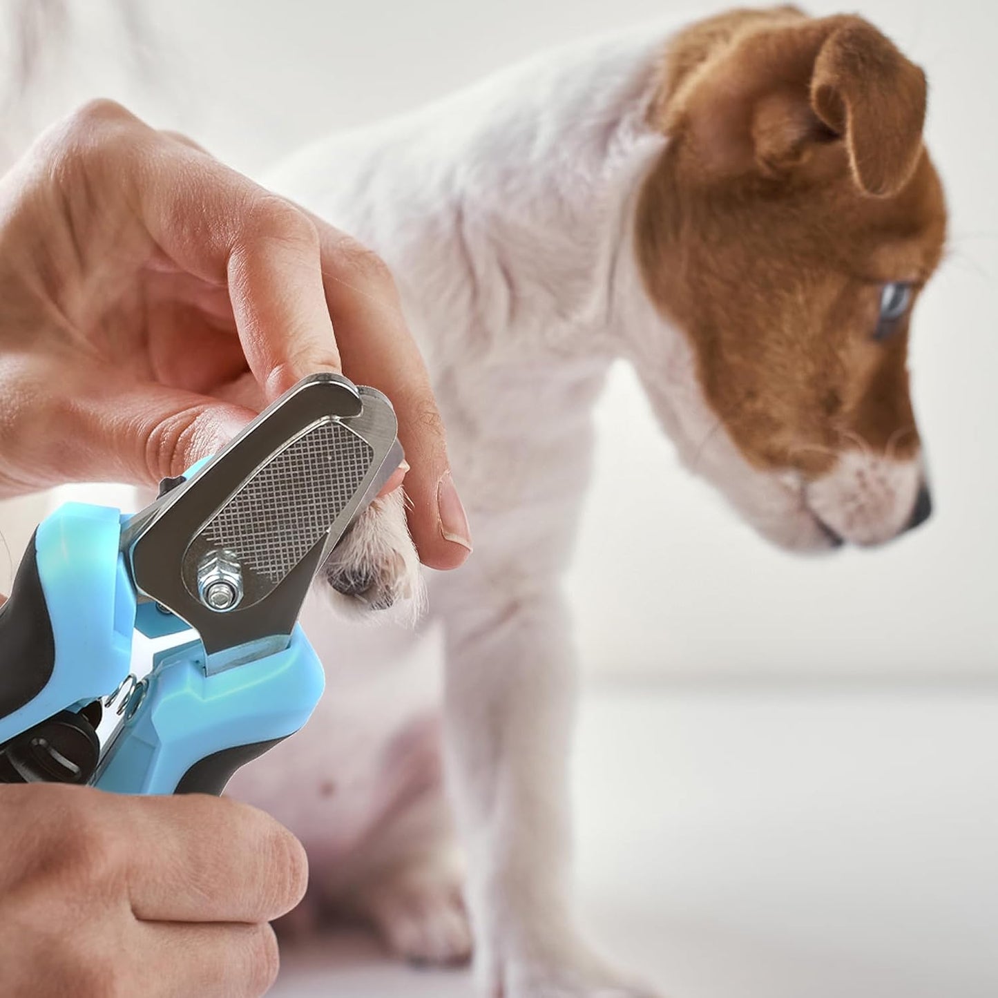 LED Dog & Cat Nail Clippers – Precision Pet Nail Trimmer with Safety Guard and Built-in File