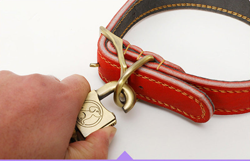 Cowhide Leash Set – Premium Leather Collar and Leash for Dogs (S & M Sizes)