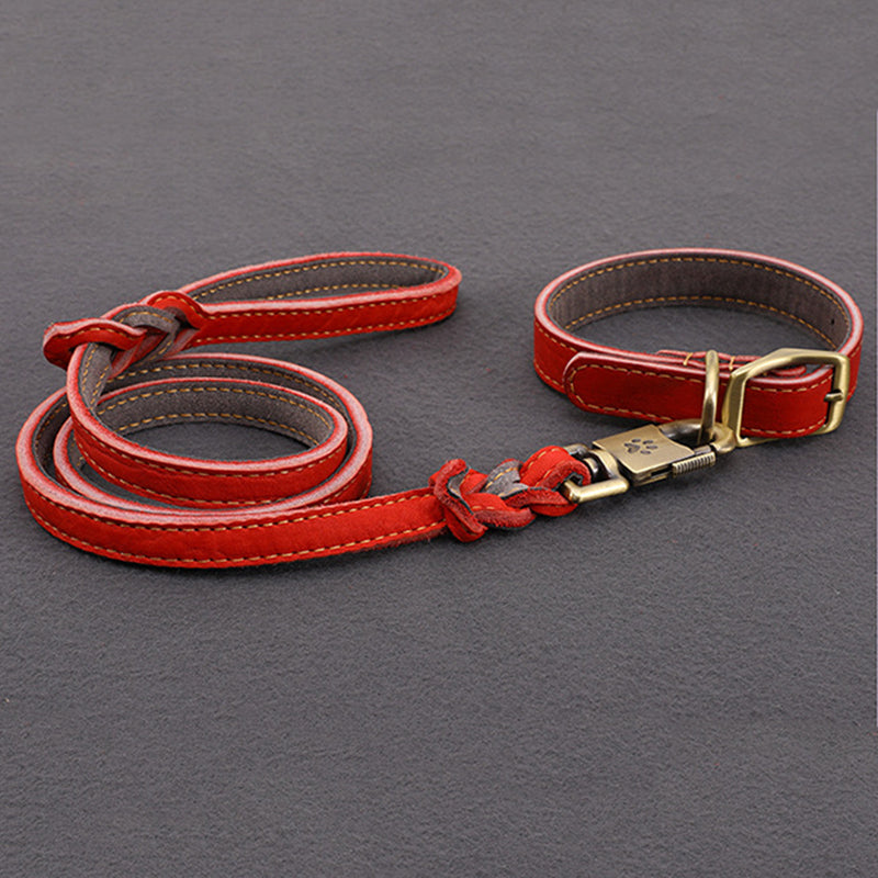 Cowhide Leash Set – Premium Leather Collar and Leash for Dogs (S & M Sizes)