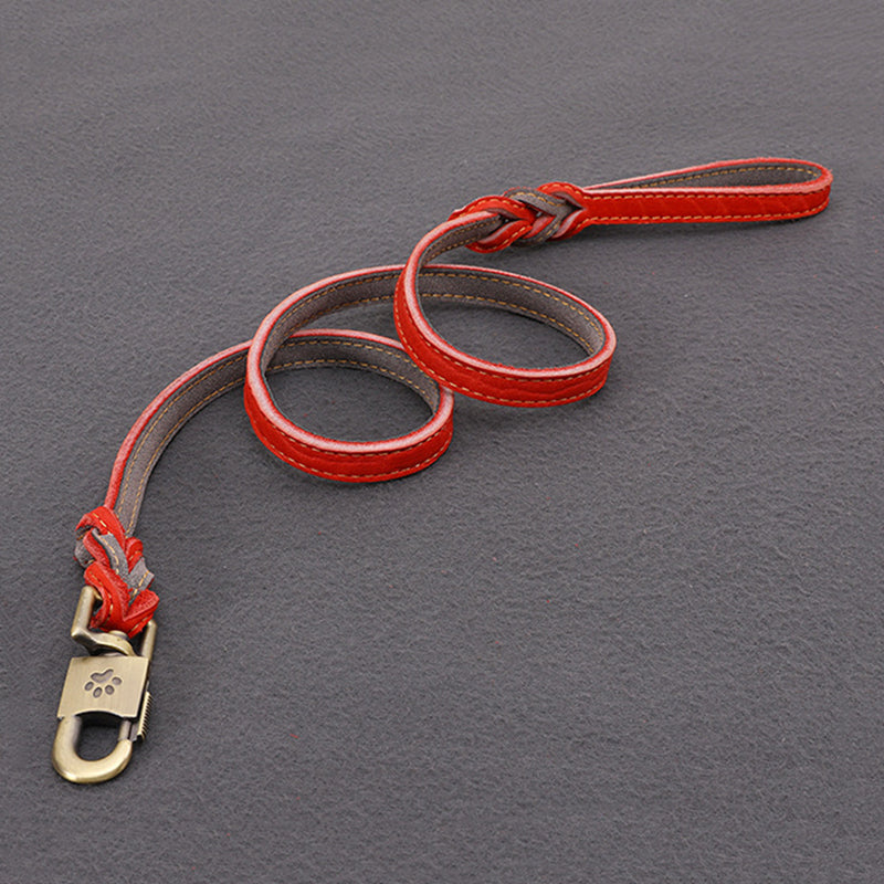 Cowhide Leash Set – Premium Leather Collar and Leash for Dogs (S & M Sizes)