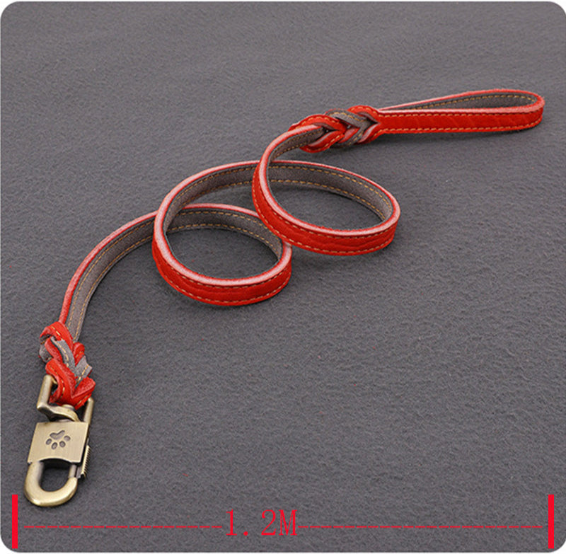 Cowhide Leash Set – Premium Leather Collar and Leash for Dogs (S & M Sizes)