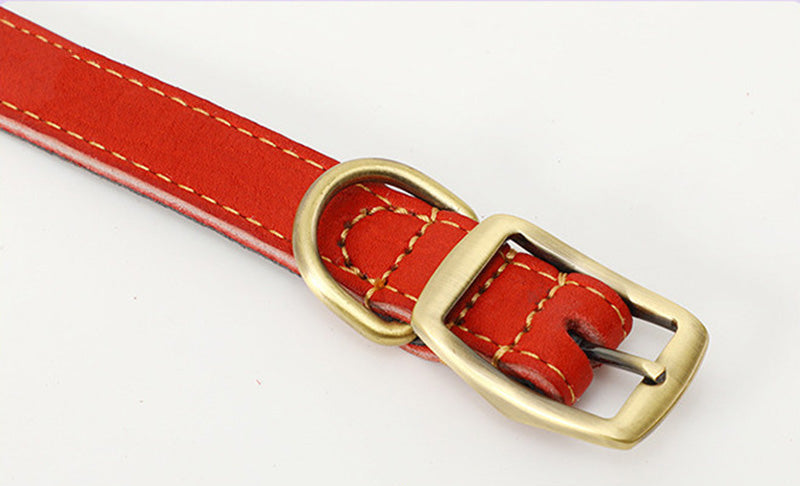 Cowhide Leash Set – Premium Leather Collar and Leash for Dogs (S & M Sizes)