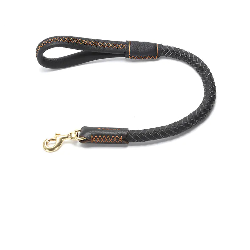 Leather Dog Leash with Optional Matching Collar – Durable Premium Leather for Medium to Large Dogs (Sizes S–XL)