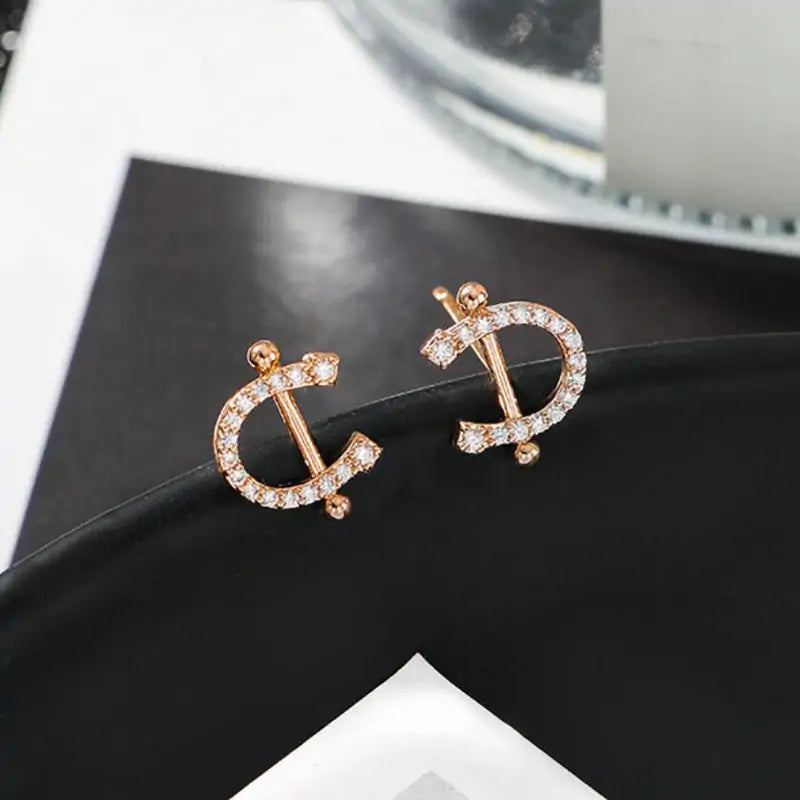 Horseshoe Zircon Necklace & Earrings: A Touch of Elegance and Luck