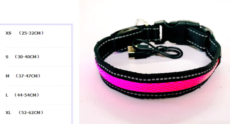 USB Rechargeable LED Dog Collar – High-Visibility Light-Up Collar for Nighttime Walks (Sizes XS–XL)