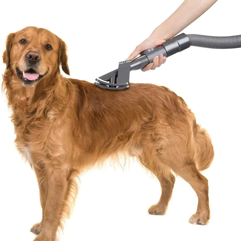 VacLife 3-in-1 Pet Hair Vacuum Grooming Kit – Low Noise Pet Clipper & Hair Collector with 2.2L Dust Cup (Includes Deshedding, Trimming, and Cleaning Tools)