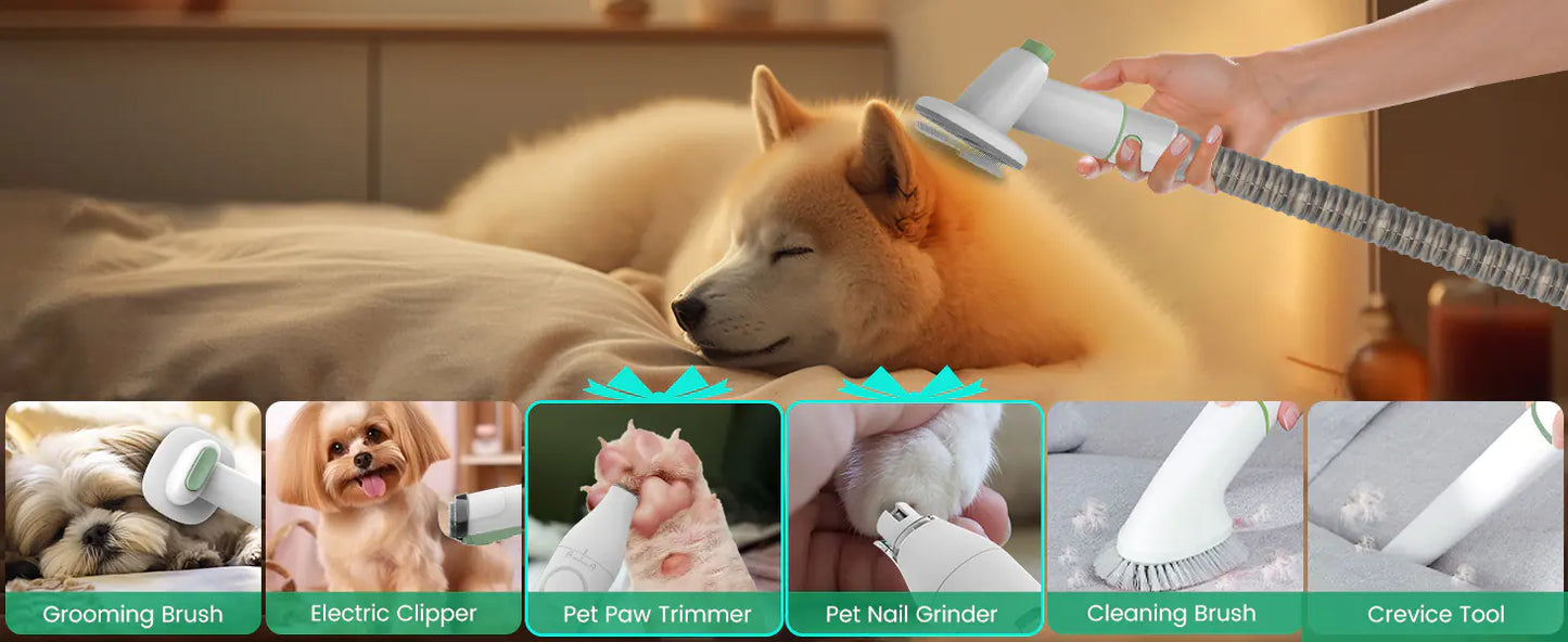 PG50 Plus Pet Grooming Vacuum Kit (All-in-One Professional Grooming for Dogs & Cats – 7 Tools + Powerful Suction)