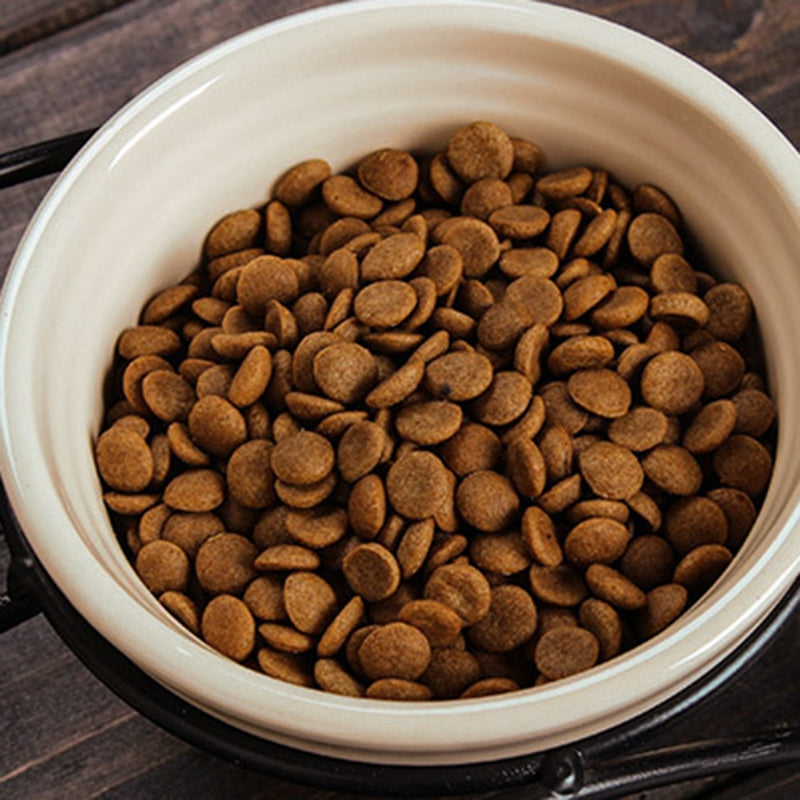 Iron Shelf Ceramic Pet Water & Food Bowl