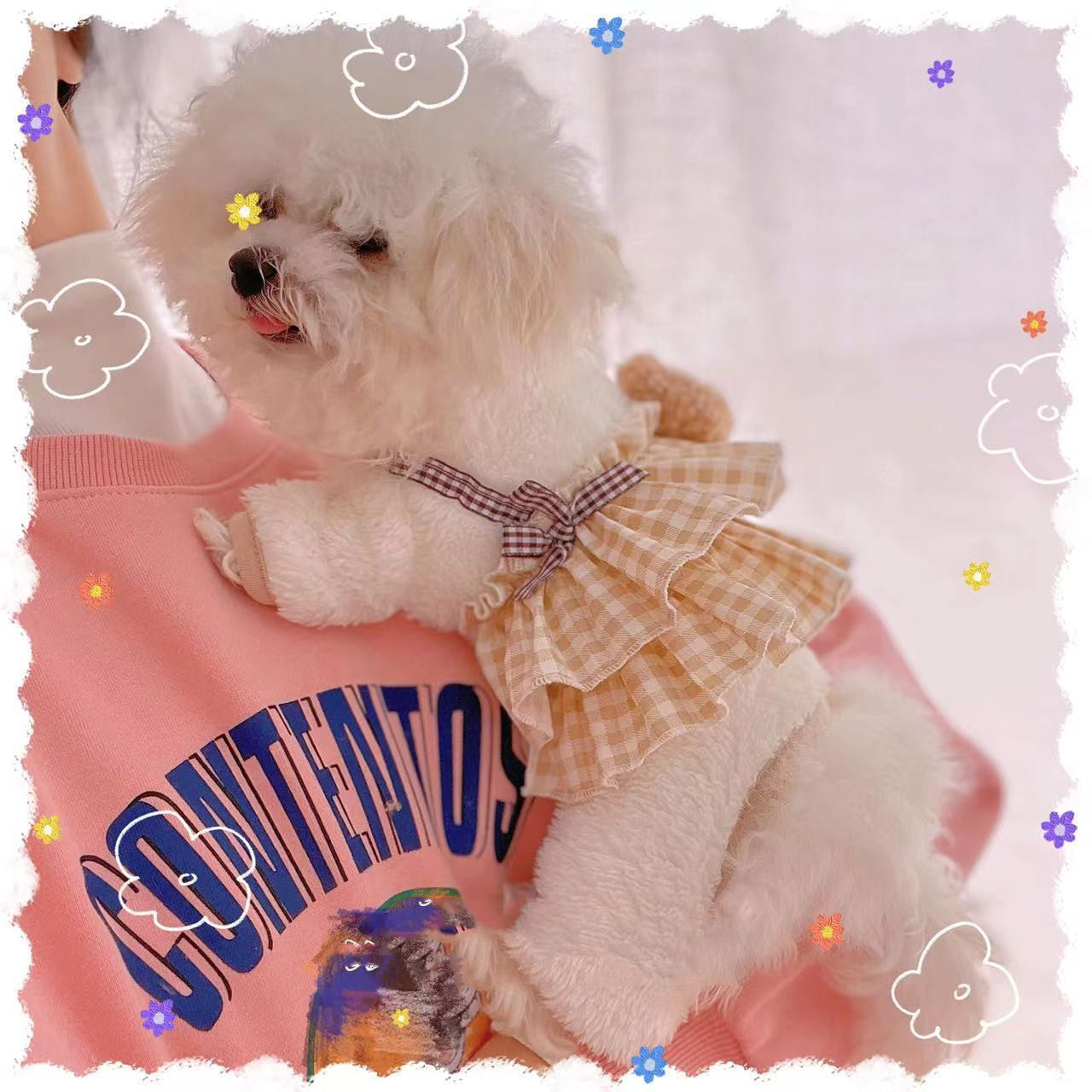Coffee Bear Fleece Dog Outfit – Four-Legged Coral Fleece Pet Clothes (Japanese Korean Style, XXS–2XL)