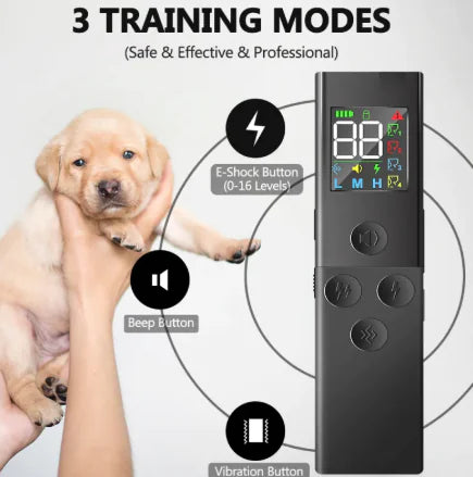 Color Screen Dog Shock Collar – Rechargeable Waterproof Trainer with 3 Modes & 800M Range