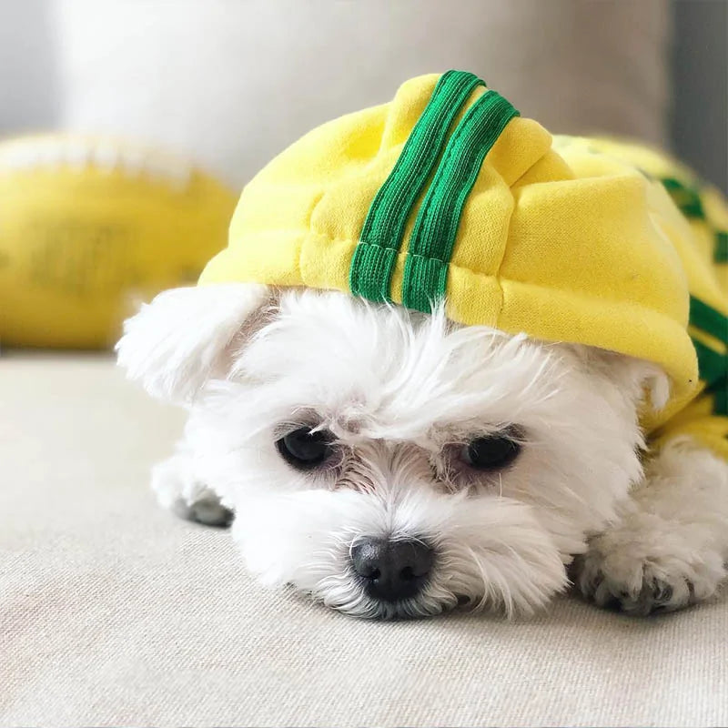 Dog Jumpsuit Costume – Adorable, Cozy Outfit for Small & Medium Dogs