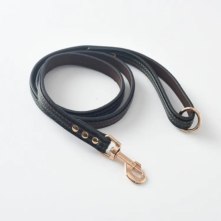 Premium Leather Pet Leash and Collar Set – Adjustable Fit for Small to Large Dogs (Black, Red, Coffee, Yellow)