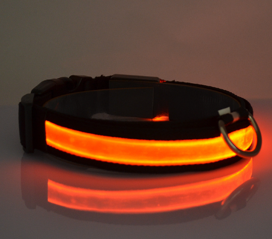 USB Rechargeable LED Dog Collar – High-Visibility Light-Up Collar for Nighttime Walks (Sizes XS–XL)
