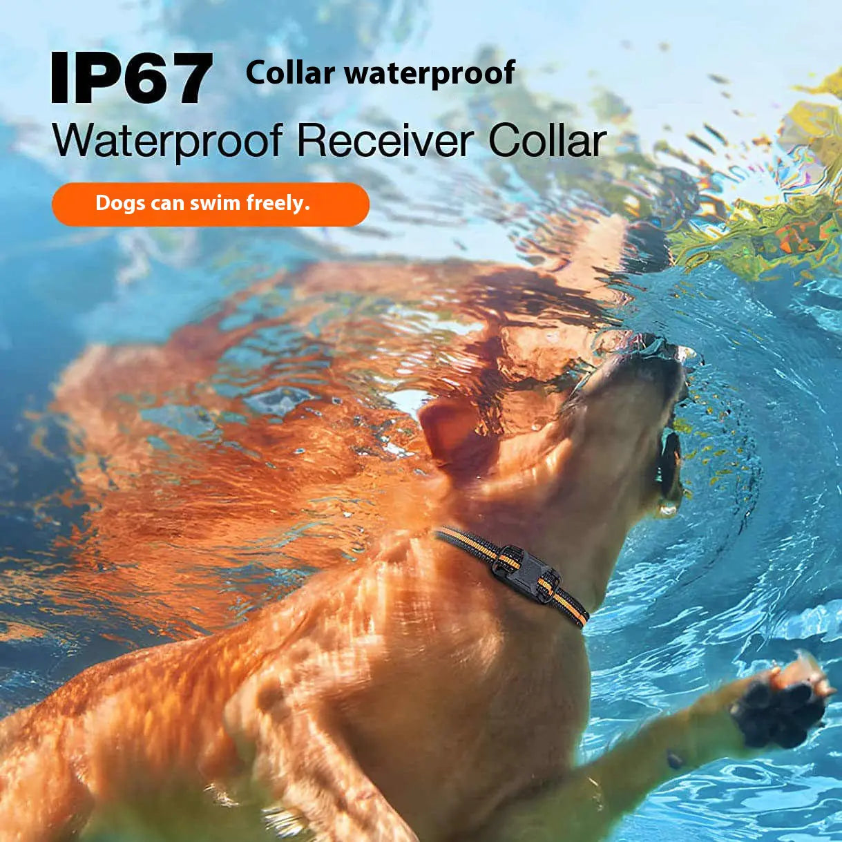 Waterproof Remote Dog Training Collar – 1000m Range, Sound, Vibration & Shock Modes (IP67 Rated)