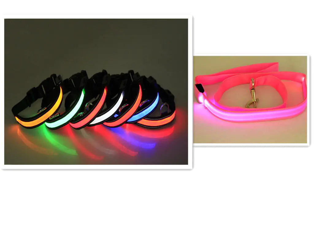 USB Rechargeable LED Dog Collar – High-Visibility Light-Up Collar for Nighttime Walks (Sizes XS–XL)