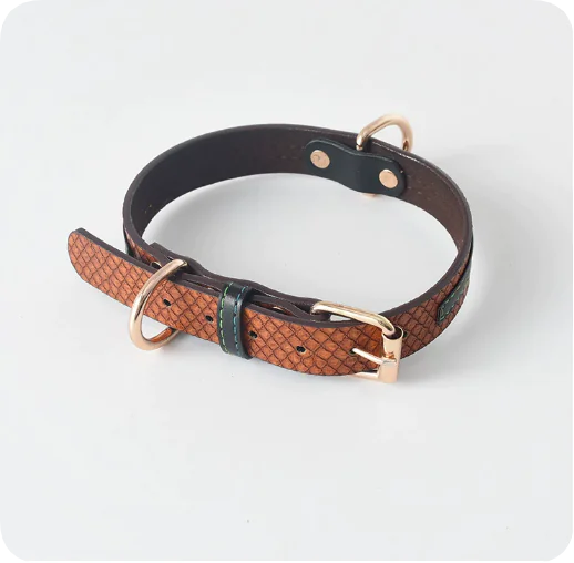 Premium Leather Pet Leash and Collar Set – Adjustable Fit for Small to Large Dogs (Black, Red, Coffee, Yellow)