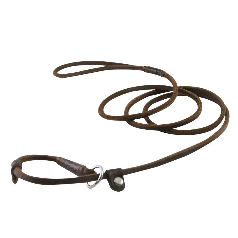 Handmade Leather Slip Lead for Small Dogs – Lightweight, Durable, and Stylish (5mm x 1.5m)