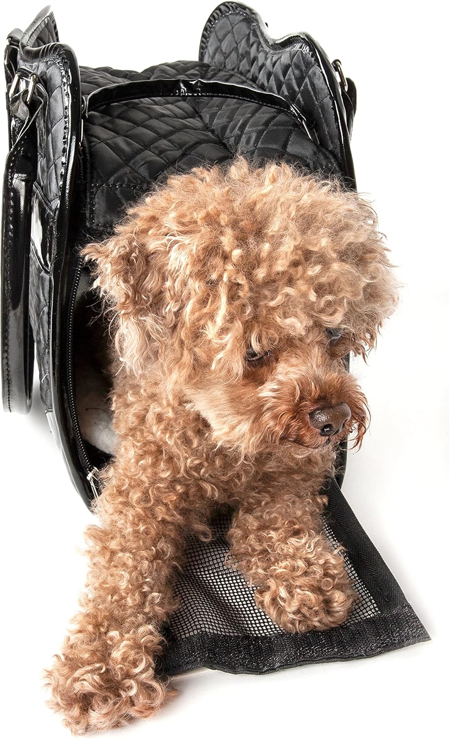 Exquisite Handbag Carrier – Fashionable Travel Purse for Small to Medium Dogs & Cats