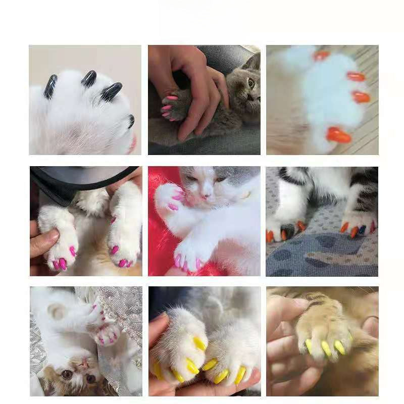 Pet Nail Covers for Dogs and Cats – Scratch Protection (Anti-Biting & Furniture Saver, 20pcs, Multi-Color, Multiple Sizes)