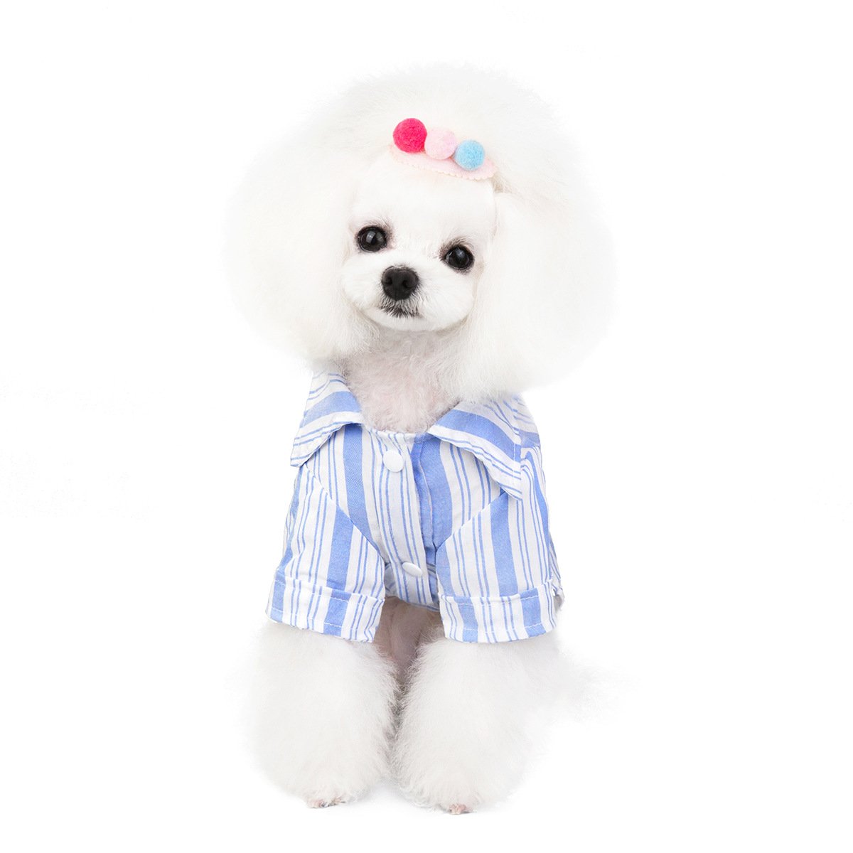Dog Cat Clothes – Soft Cotton Leisure Shirts for Pets in Blue or Pink (S to 2XL Sizes)